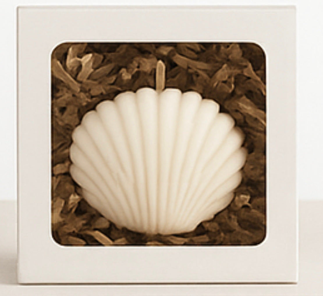 Sea Shell Soy Candle mini