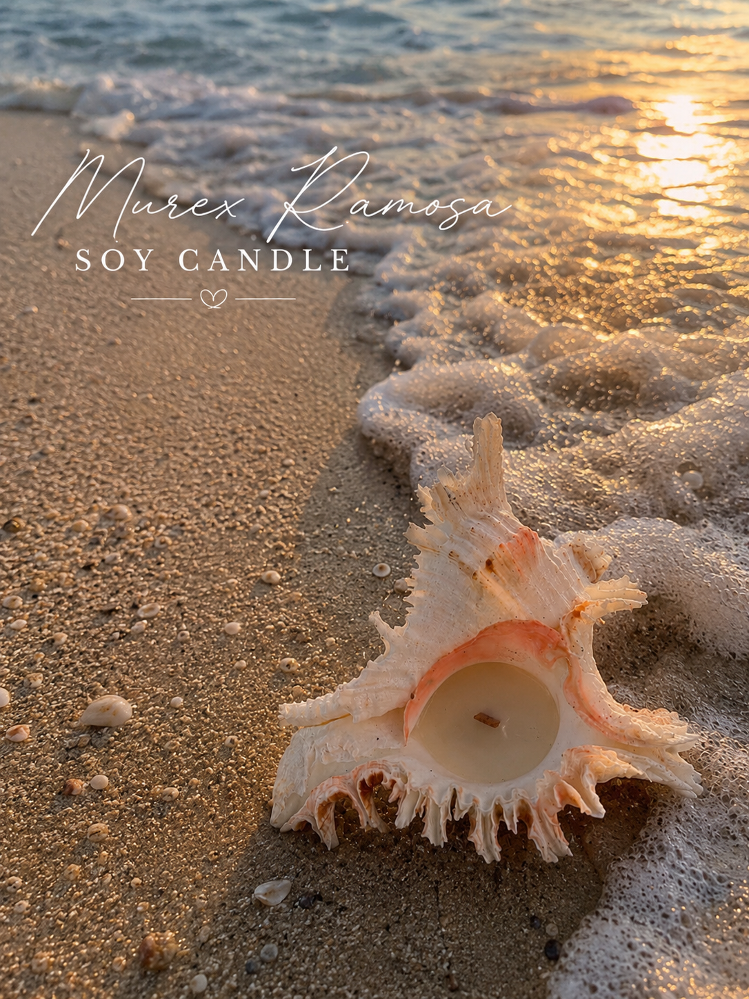 Murex Ramosa Coastal Glow Candle