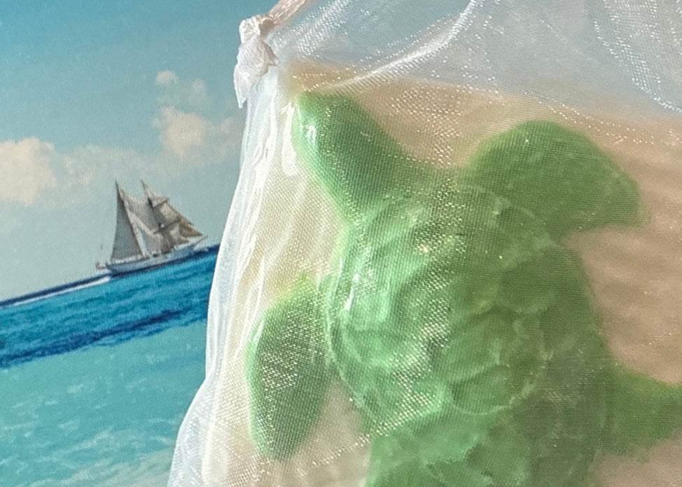 Shampoo & Body Bar 4.7oz