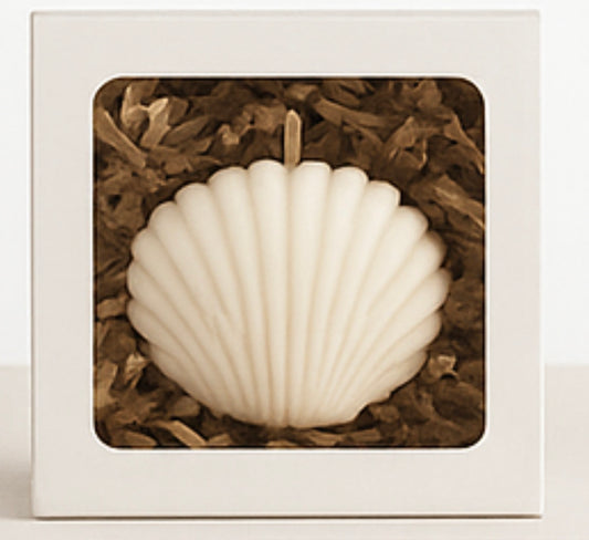 Sea Shell Soy Candle mini